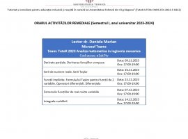 ACTIVITĂȚI REMEDIALE